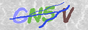 Click to Reload CAPTCHA