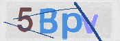 Click to Reload CAPTCHA