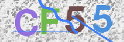 Click to Reload CAPTCHA