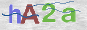 Click to Reload CAPTCHA