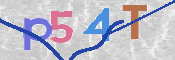 Click to Reload CAPTCHA