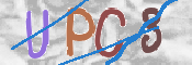 Click to Refresh Capcha
