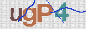 Click to Refresh Capcha
