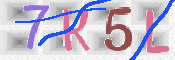 Click to Refresh Capcha