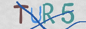 Click to Reload CAPTCHA