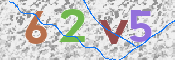 Click to Reload CAPTCHA